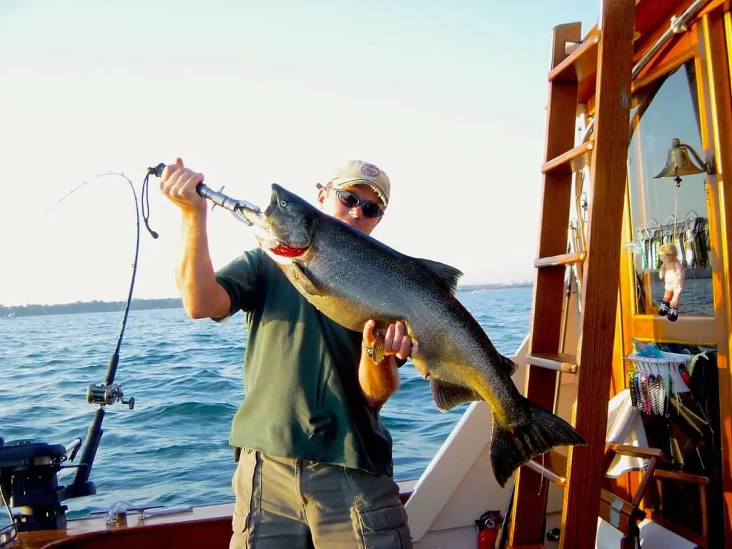 King-salmon-held-by-fisherman-Ontario